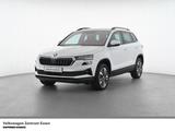 Skoda Karoq Tour TDI DSG Matrix AHK Standhzg R-Kamera