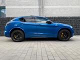 Alfa Romeo Stelvio Quadrifoglio Blu Misano Garantie Carbon 
