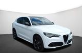 Alfa Romeo Stelvio MY24 TRIBUTO ITALIANO 2.0 Turbo 16V 206 - Alfa Romeo: Italia
