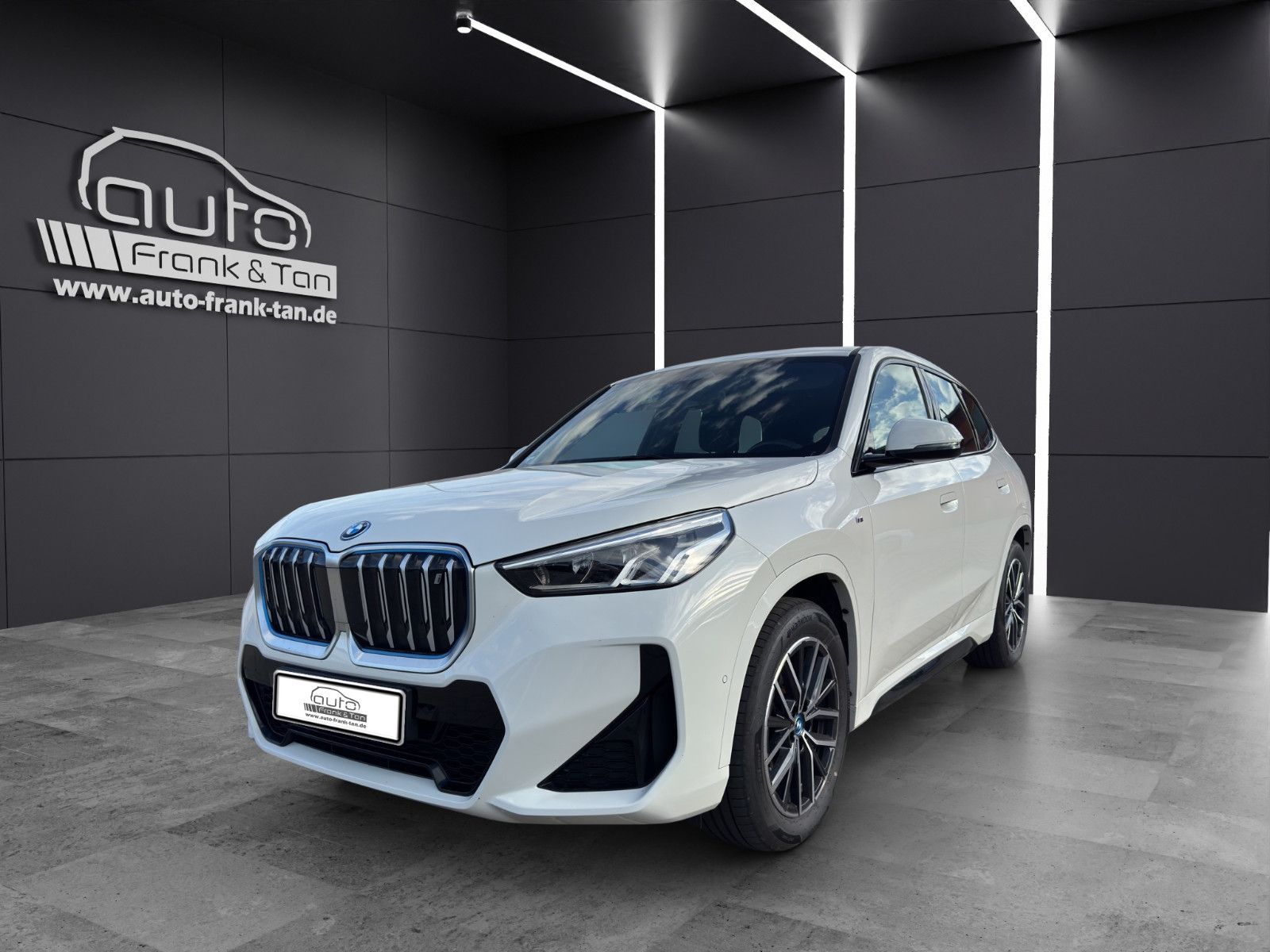 Fahrzeugabbildung BMW iX1 30 xDrive M Sport/Apple/Massage/Performance/