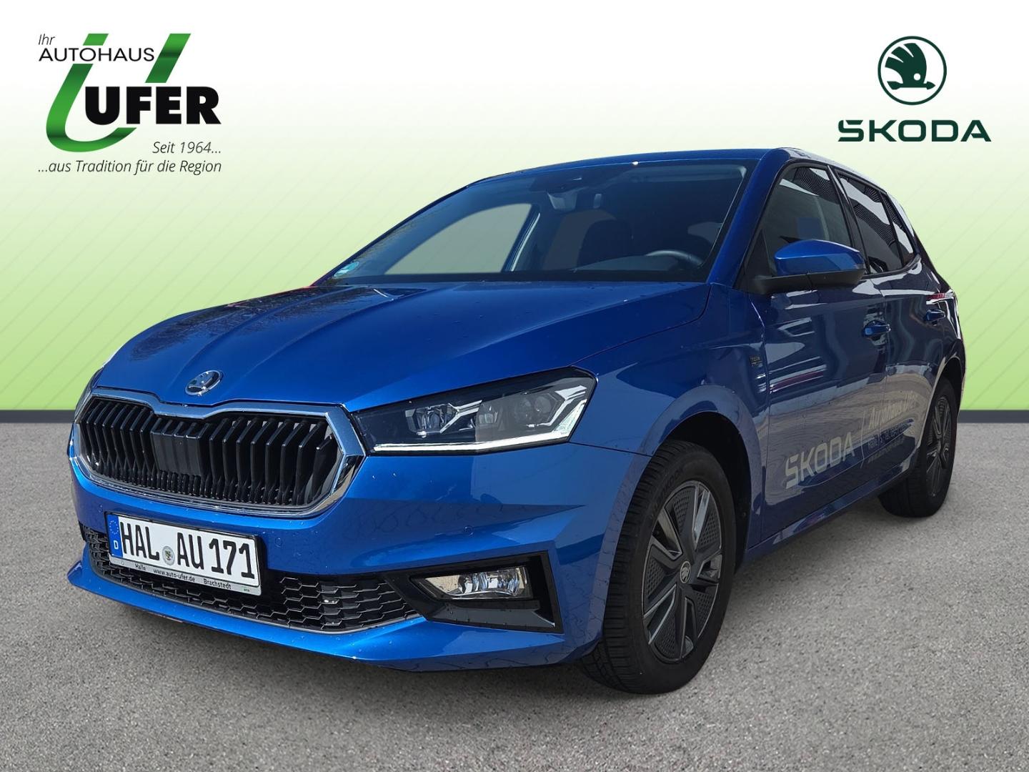 Skoda Fabia Tour DSG RFK NAVI Winter BlindSpot
