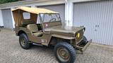 Jeep willys Jeep - Jeep Willys in Bonn