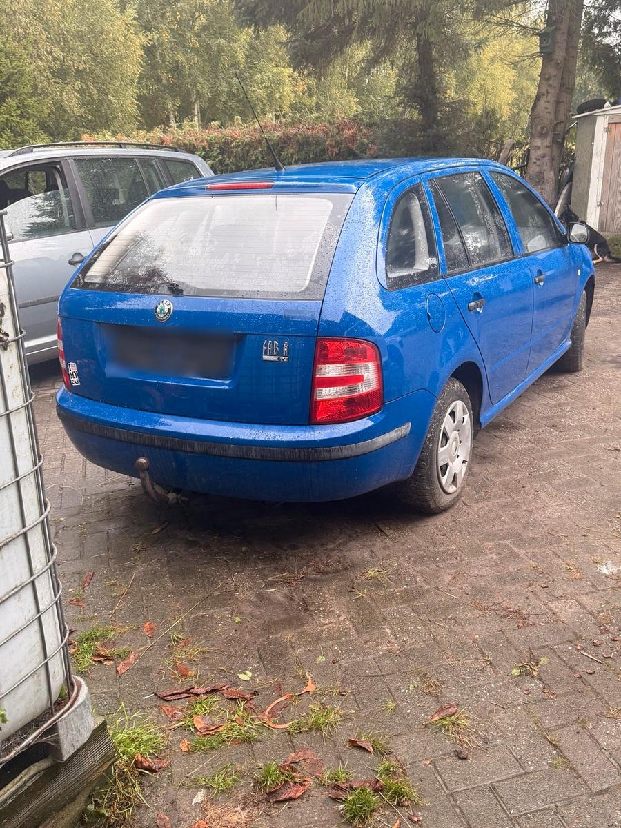 Skoda Fabia 2006 — салон