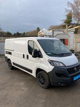 Fiat Ducato L2H1  2,3L MJT140      15.117 Euro(Netto) - Fiat Ducato: 11