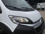 Bürstner Campeo C 600  - Bürstner Kastenwagen