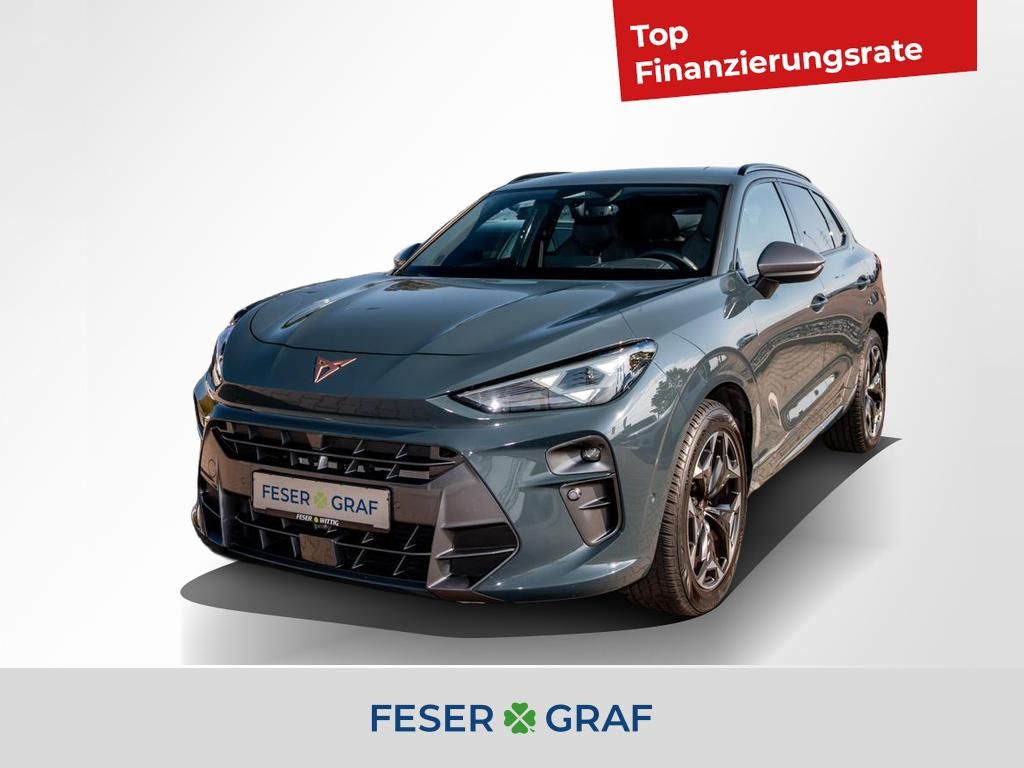 Image of Cupra Terramar