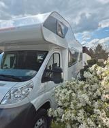 Weinsberg 600AL, Top-Ausstattung, top-Zustand - Weinsberg Wohnwagen & Wohnmobile