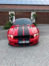 Ford Mustang California Special 5.0 - Ford Mustang: For