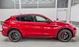 Alfa Romeo Stelvio QUADRIFOGLIO VERDE AKRAPOVIC Technolo... - Alfa Romeo Stelvio Tageszulassungen