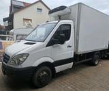 Mercedes-Benz Sprinter 515 CDI Kühlschrank... - Mercedes-Benz Sprinter: 515