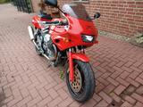 Moto Guzzi Sport 1100 - MOTO GUZZI 1100 SPORT