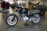 Honda XBR 500  PC15 **MIT DOPPELSCHEIBENBREMSE** - HONDA XBR500