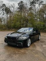 BMW Bmw F10 525d 6 Zylinder - BMW 525 aus 2010: 525d