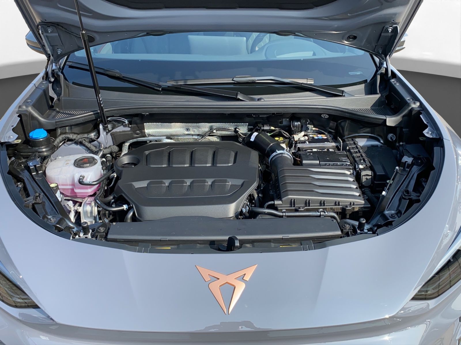 Cupra Terramar - Bild 23