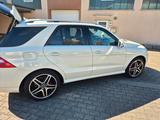 Mercedes-Benz ML 350 BlueTEC 4MATIC - - Mercedes-Benz ML-Klasse Gebrauchtwagen in Frankfurt