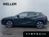 Lexus UX 250h Style Edition *Bi-LED*ACC*CAM*SHZ*CarPla - Lexus UX in Köln