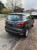 Ford EcoSport 1,0 EcoBoost 92kW Trend Automatik Trend - Ford EcoSport Trend mit Benzin-Antrieb