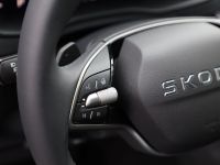Skoda Karoq - Vorschau Bild 14