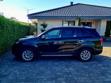 Kia Sorento Spirit 4WD Automatik | AHK | Leder - Kia Sorento: Spirit