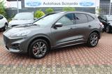 Ford Kuga 2.0EB ST-Line X 4X4*LED*iACC*Navi*2x Kamera - Ford Kuga Jahreswagen mit Diesel-Antrieb