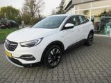 Opel Grandland X 1.6 AT-8 INNOVATION LED Navi Sitzhzg - Opel: 1.8