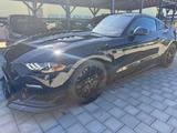 Ford Mustang GT Fastback Shelby optik Vollausstattung - Ford Mustang: Schwarz, Shelby