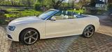 Audi A5 1.8 TFSI Cabriolet - - Audi A5: Weiß