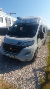Roller Team Livingstone 2 Sport - Offers