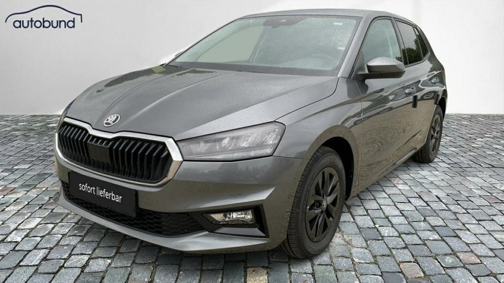 Skoda Fabia IV 1,0 TSI 130 Jahre Alu LED Link NBA PDC 