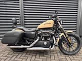 Harley-Davidson XL 883 Iron Sportster | Koffer / Sissybar - Offers