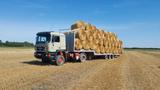 MAN 1995 MAN commander 422 4x4 - MAN aus 1992