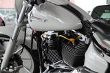 Harley-Davidson FXSB BREAKOUT SOFTAIL * 1 OF 1 * 100% CUSTOM! - HARLEY-DAVIDSON SOFTAIL BREAKOUT