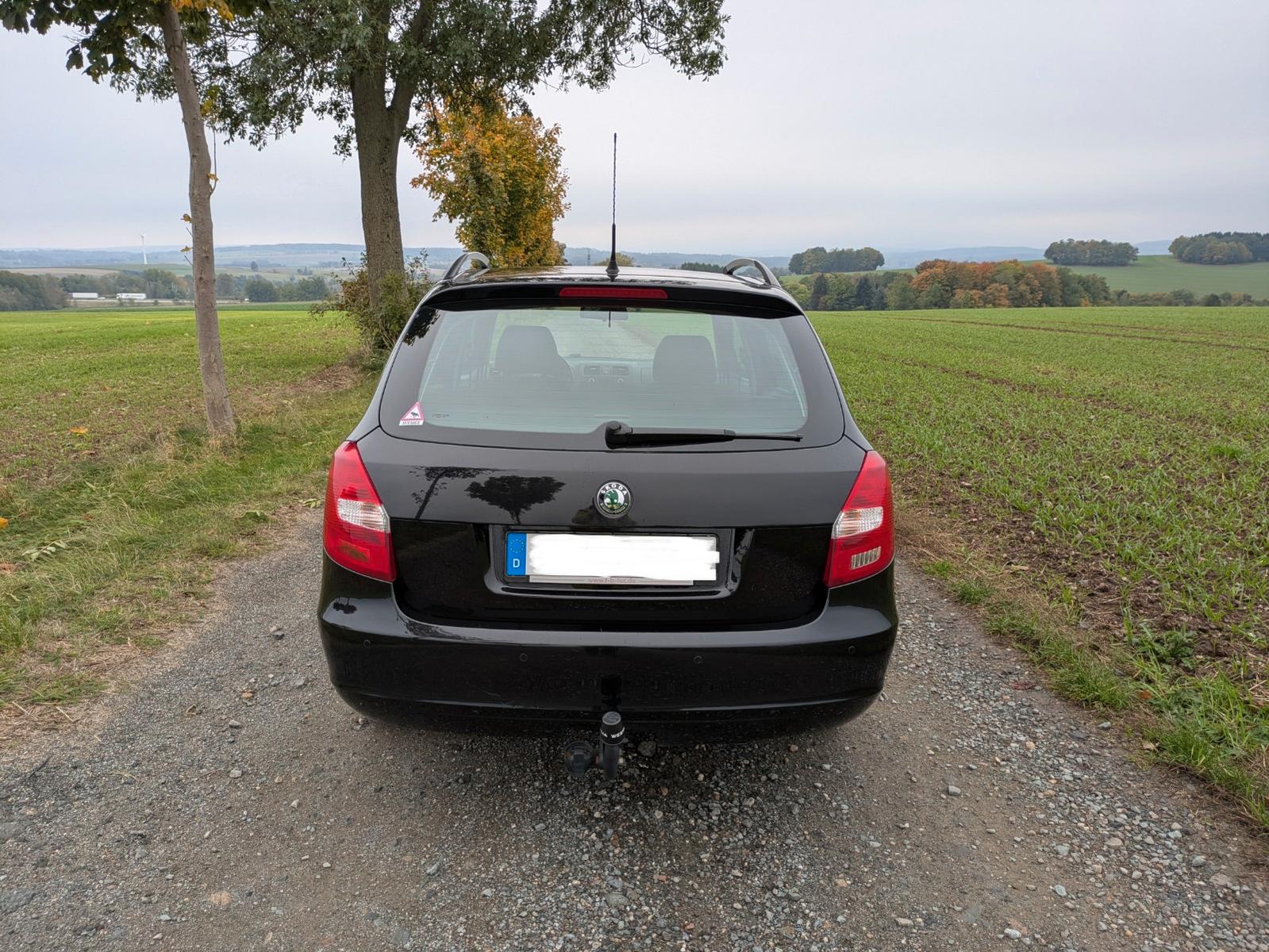 Skoda Fabia 2011 — interior