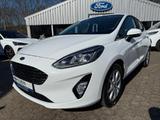 Ford Fiesta Titanium X, Keyfree,B&O,Winter-Pkt,Navi