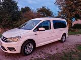 Volkswagen Caddy Maxi Comfortline 1.4 TSI, 96 kW, weiß  - Volkswagen Caddy Maxi in Leverkusen