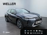 Lexus UX 300e Luxury Line *LED*360°*M Levinson*HUD*ACC - Lexus: L