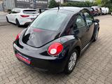 Volkswagen New Beetle Lim. 1.6 - Volkswagen New Beetle: Sportwagen