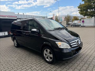 Mercedes Viano - 3