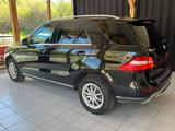 Mercedes-Benz ML 350 CDI 4Matic BlueTec |NAVI|PDC|BI-XENON|d - Mercedes-Benz ML 350: Cdi 4matic