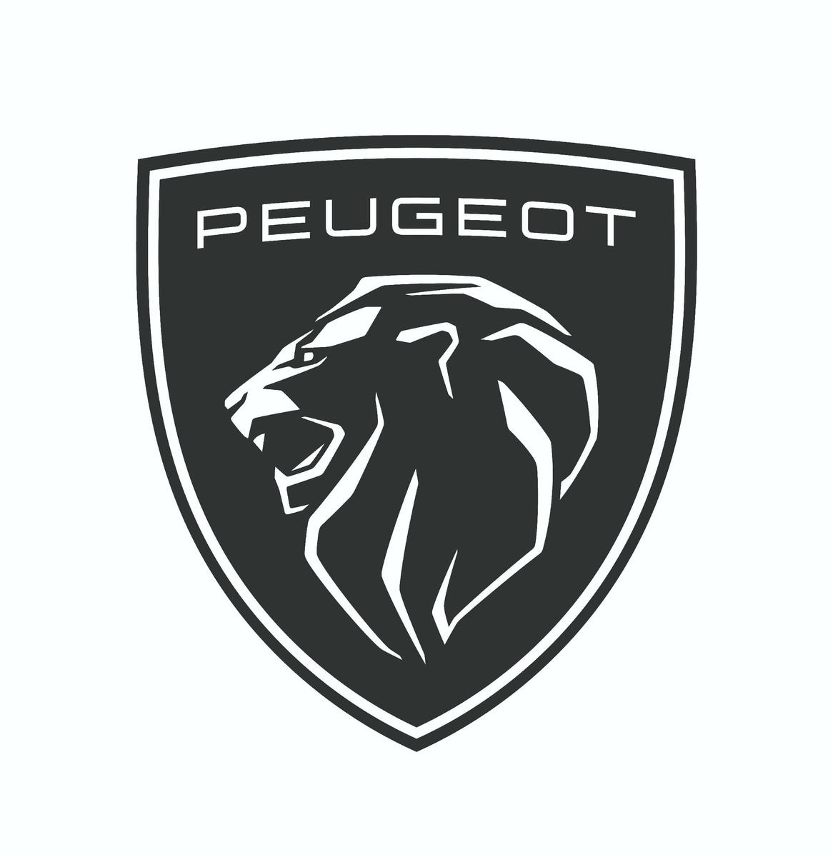 Peugeot Boxer Kastenwagen 335 L3H3 Pro Blue HDi 165 TOP 