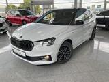 Skoda Fabia 1.0TSI Monte Carlo Sportfahrwerk Panorama 