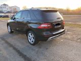 Mercedes-Benz ML 250 BlueTEC 4MATIC - - Mercedes-Benz ML 250 mit Diesel-Antrieb