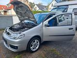 Fiat Punto 1.2 8V Trofeo Orig 132`tkm ZR /  TÜV NEU ! - Fiat Punto Gebrauchtwagen in München