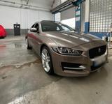 Jaguar XE 20d 180PS Portfolio Automatik Portfolio - Jaguar XE in Dortmund