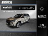 Andere Forthing 3 Exclusive LED Panorama-SHD Kamera - Andere Neuwagen: Allradantrieb