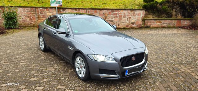 Jaguar XF 2.0 Dies. Nür 1 besitzer Neu tüv VOLL