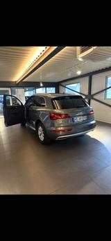 Audi Q5 50 TDI tiptronic quattro design design - Audi Q5 design mit Diesel-Antrieb