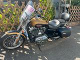 Harley-Davidson Sportster 1200T SuperLow  - HARLEY-DAVIDSON SPORTSTER SUPERLOW 1200T