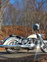 Honda Shadow Aero VT1100 C3 - HONDA CHOPPER VT 1100 C