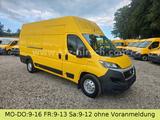 Fiat Ducato Maxi L5H3 Durchgangstüre Regale HOCHDACH - Fiat Ducato l5h3